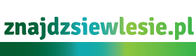 Logo znajdzsiewlesie.pl mobile retina